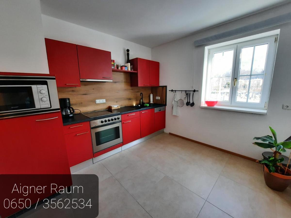 Apartment Aigner Bad Goisern Ngoại thất bức ảnh